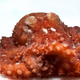 Frilled giant Pacific octopus. Photo Courtesy D. Scheel